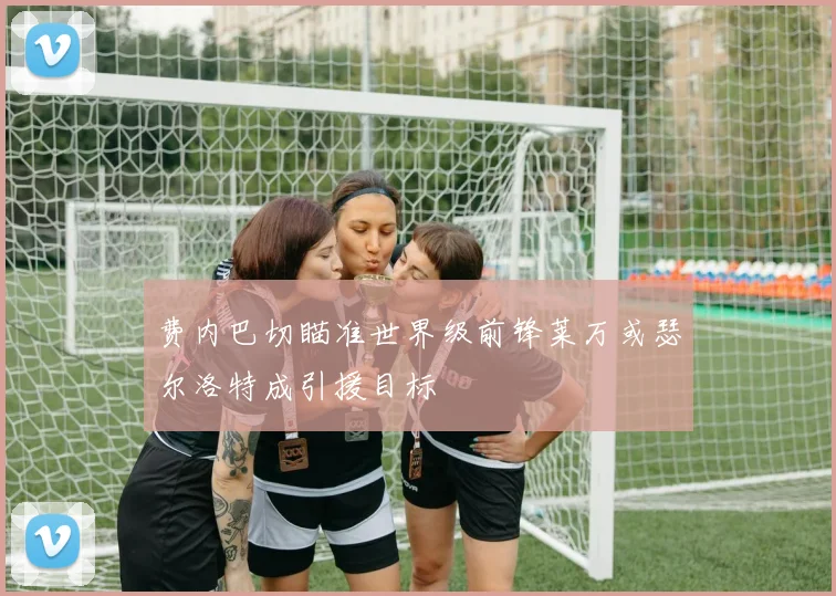 费内巴切瞄准世界级前锋莱万或瑟尔洛特成引援目标